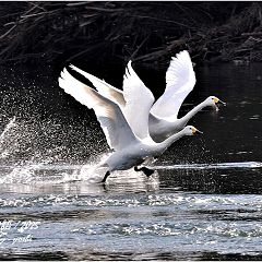 111位のイメージ