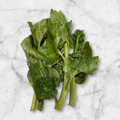 71位のイメージ