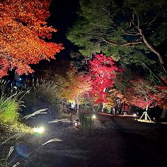 259位のイメージ