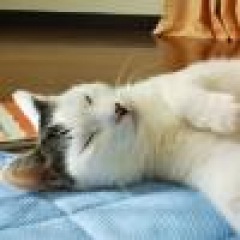 15位のイメージ