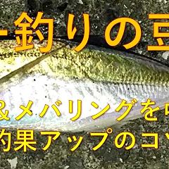 19位のイメージ