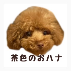 89位のイメージ