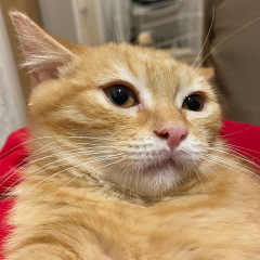 15位のイメージ