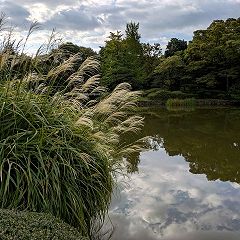 77位のイメージ