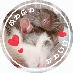 127位のイメージ