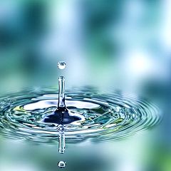 29位のイメージ