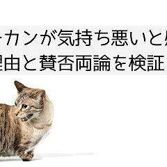 14位のイメージ