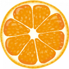 28位のイメージ