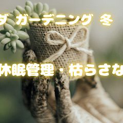 11位のイメージ