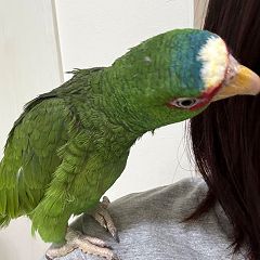 137位のイメージ