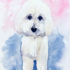 92位のイメージ