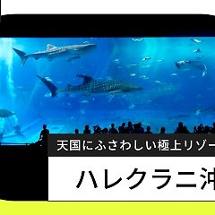 47位のイメージ