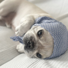 41位のイメージ