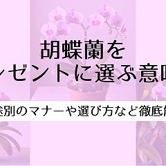 58位のイメージ