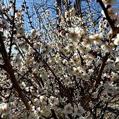 12位のイメージ