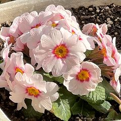 10位のイメージ