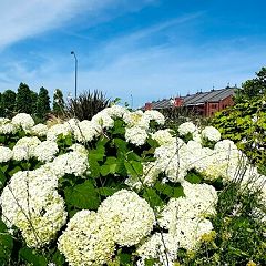 35位のイメージ