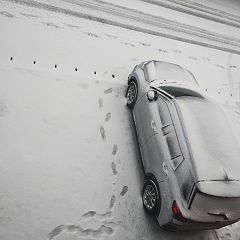 11位のイメージ