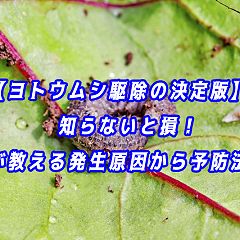 16位のイメージ