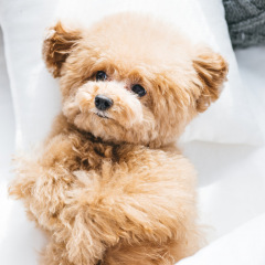 19位のイメージ