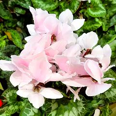 21位のイメージ