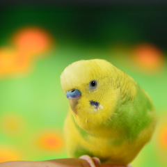 116位のイメージ