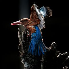 30位のイメージ