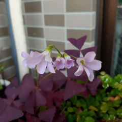 30位のイメージ