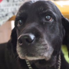 19位のイメージ