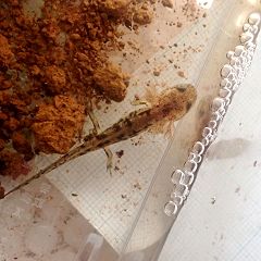 12位のイメージ