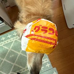 12位のイメージ