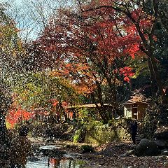 21位のイメージ