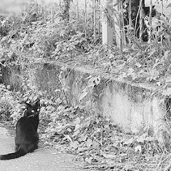 15位のイメージ