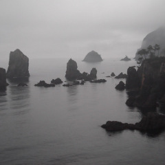 29位のイメージ