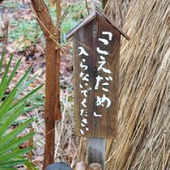 22位のイメージ