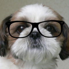 17位のイメージ