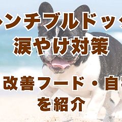 28位のイメージ