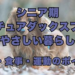 11位のイメージ