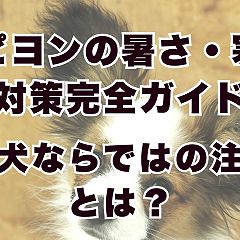 13位のイメージ