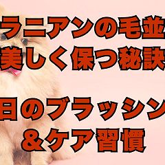 28位のイメージ