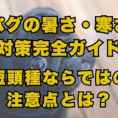 12位のイメージ