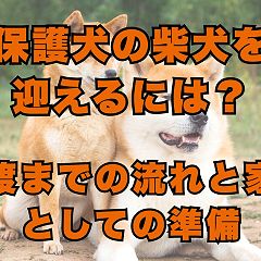 10位のイメージ