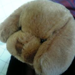 18位のイメージ