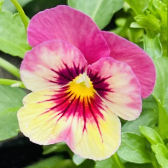 10位のイメージ