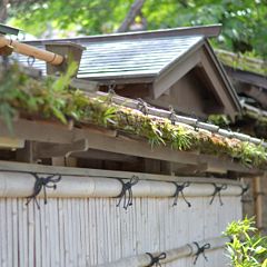 24位のイメージ