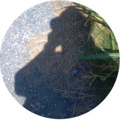 25位のイメージ