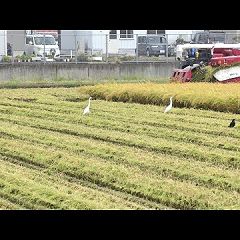 12位のイメージ