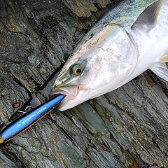 159位のイメージ