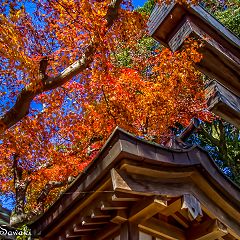 24位のイメージ