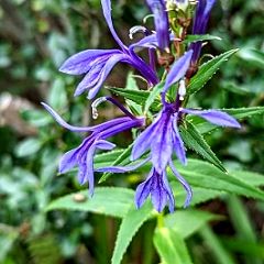 79位のイメージ